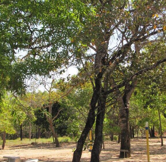 酒店 Fazenda Arara Azul