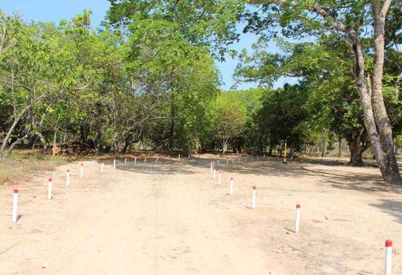 호텔 Fazenda Arara Azul