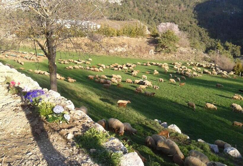 Отель Ferme De Sejour Rebuffel