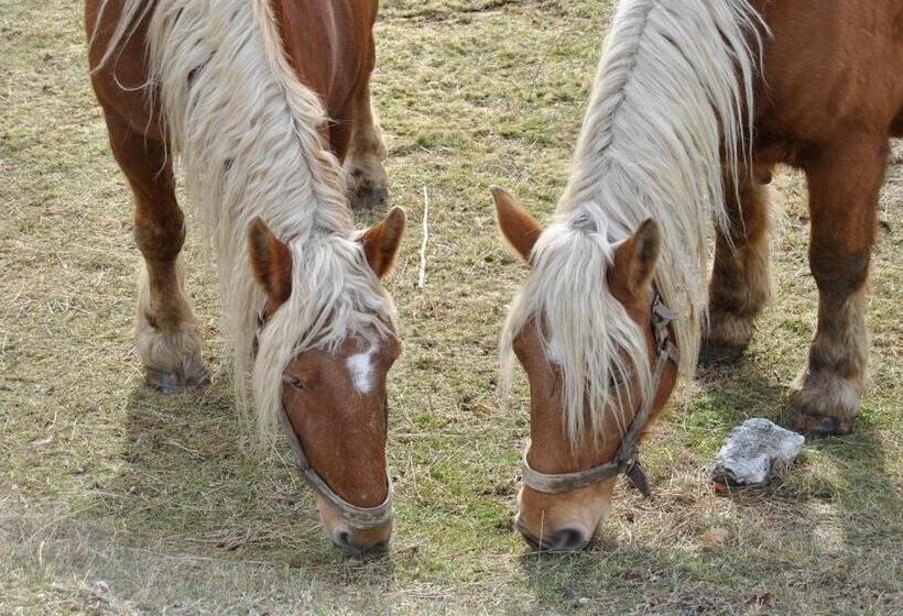 Отель Ferme De Sejour Rebuffel