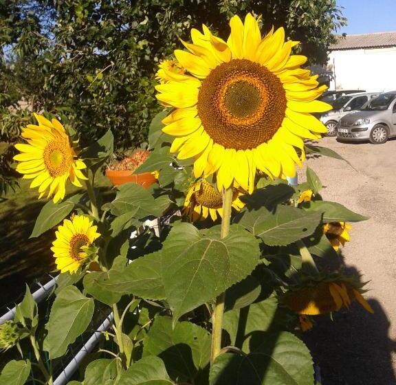 Отель Ferme De Sejour Rebuffel