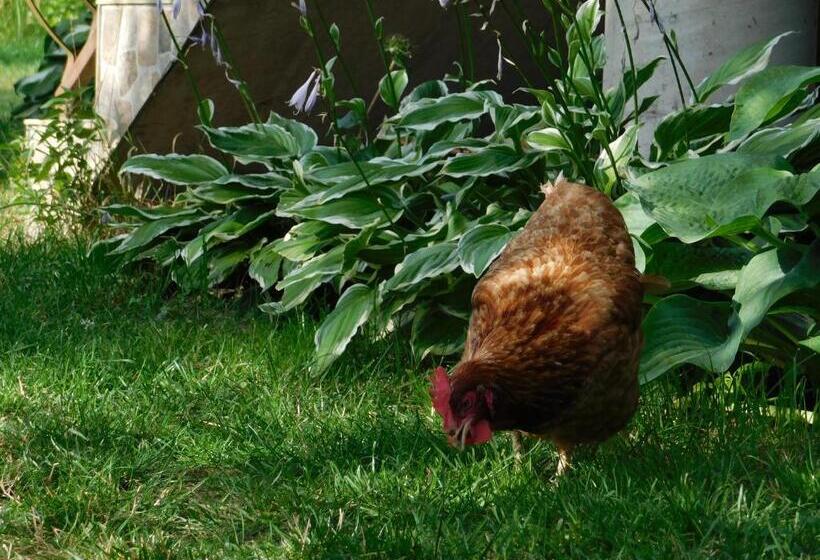 호텔 Gospodarstwo Agroturystyczne Biebrzanska Goscina