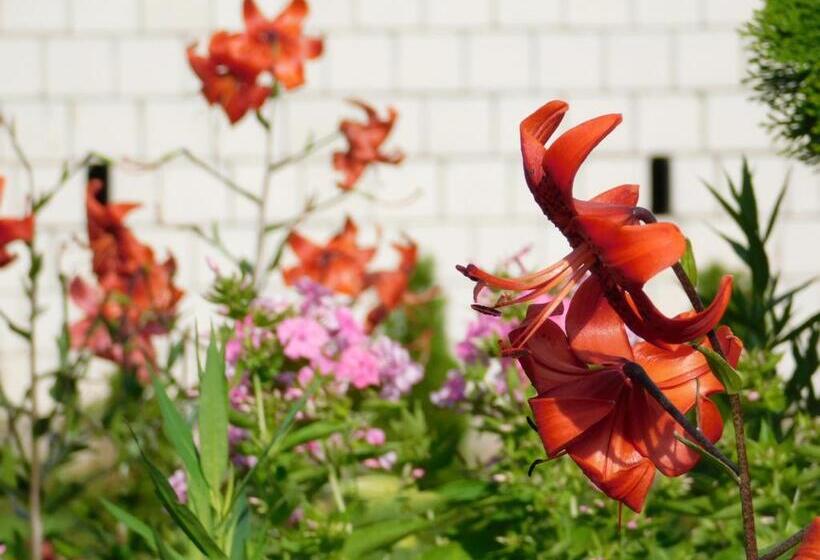 호텔 Gospodarstwo Agroturystyczne Biebrzanska Goscina