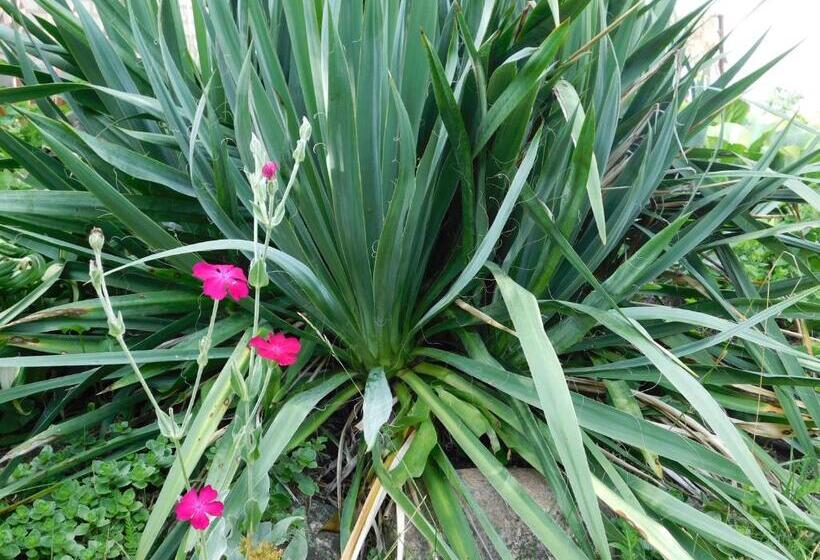 호텔 Gospodarstwo Agroturystyczne Biebrzanska Goscina