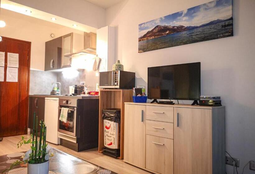 ホテル Léman Holidays   Appartement Hyper Centre