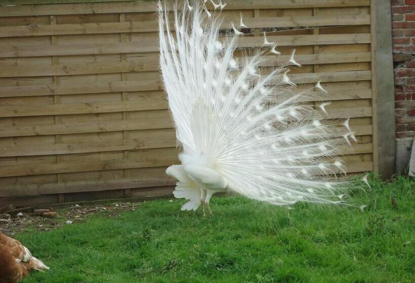فندق Maison De Maître En Baie De Somme