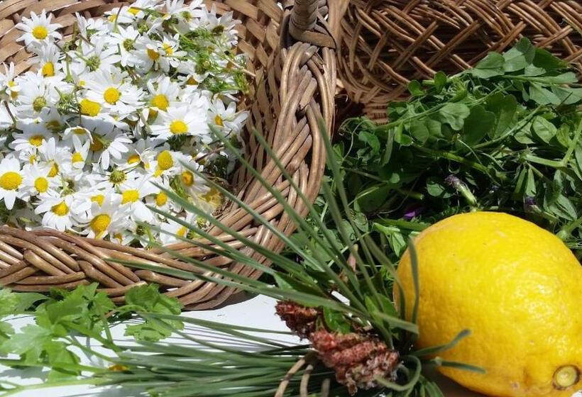 בית מלון כפרי Meio Country House