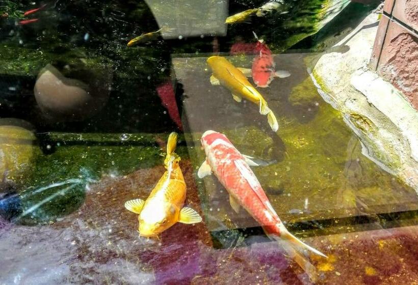 酒店 Minami Hakone Villa