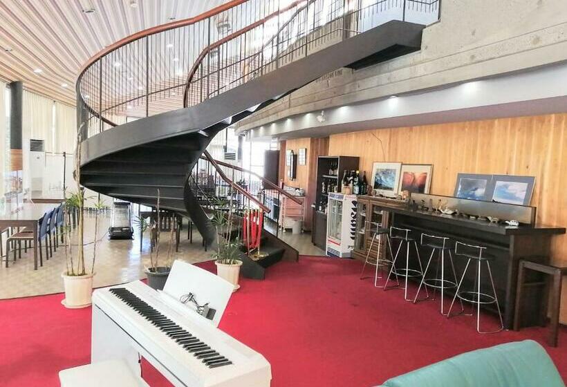 酒店 Minami Hakone Villa