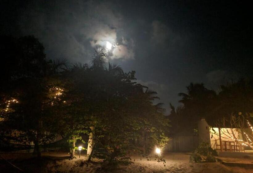 هتل Nettle Trees Farm Stay