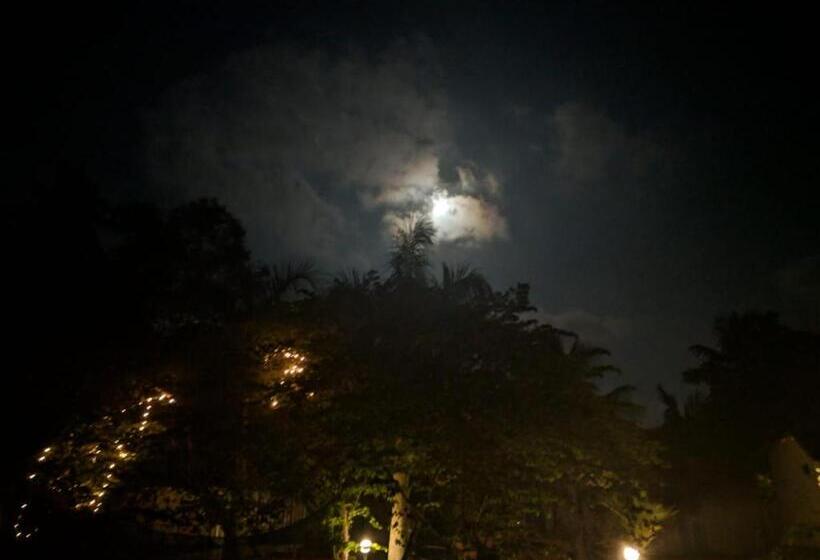 هتل Nettle Trees Farm Stay