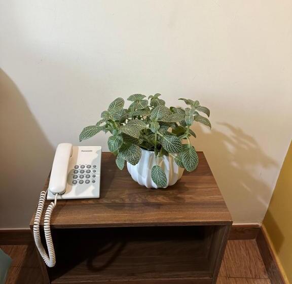 בית מלון כפרי Palmas Reales