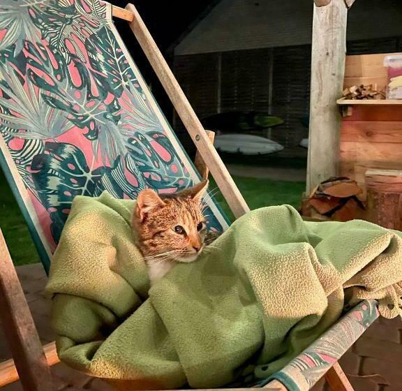 فندق Przystanek Rospuda