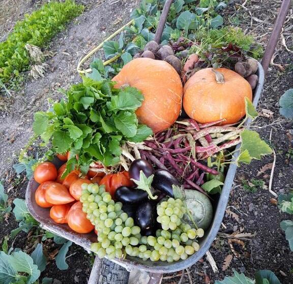 בית מלון כפרי Quercia Antica