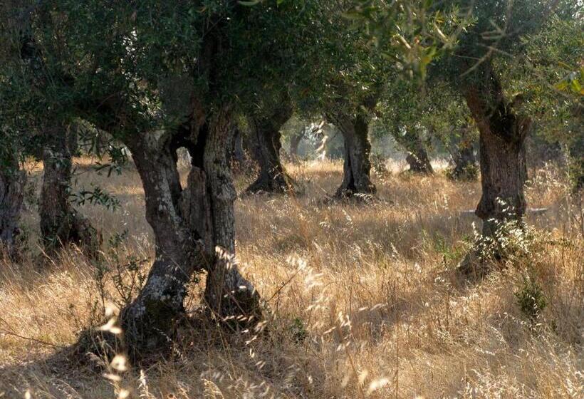 ホテル Quinta De Azemeis