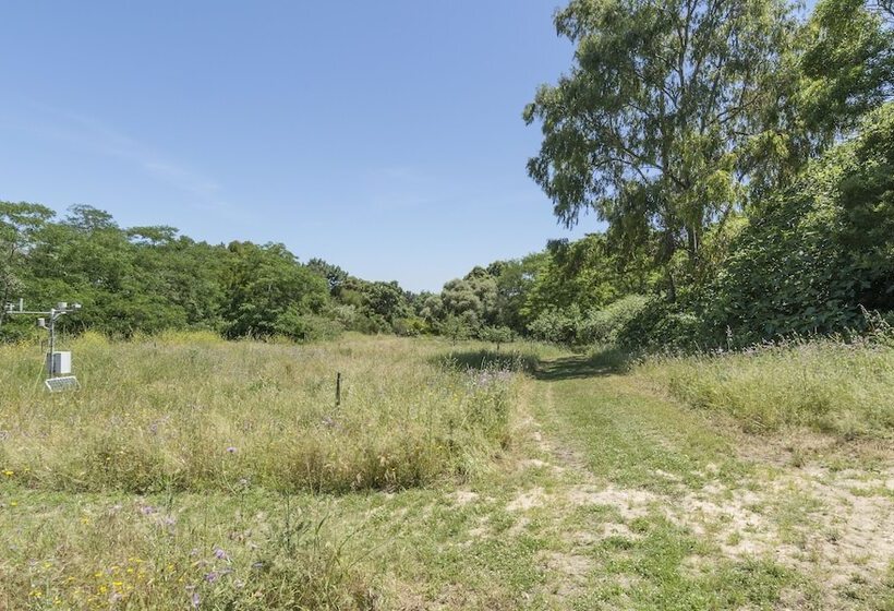 호텔 Quinta De São Pedro