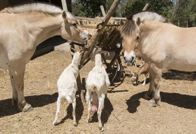 호텔 Quinta De São Pedro