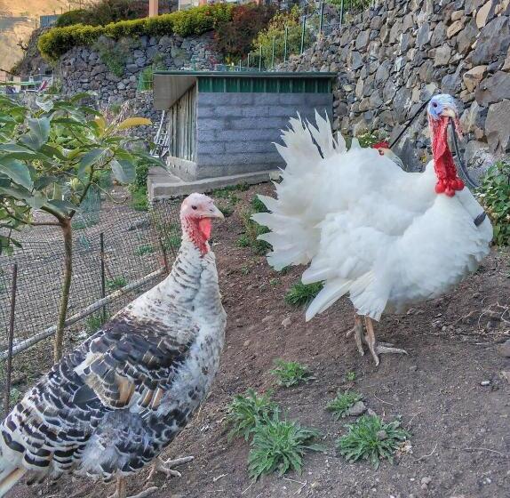 酒店 Quinta Terezinha