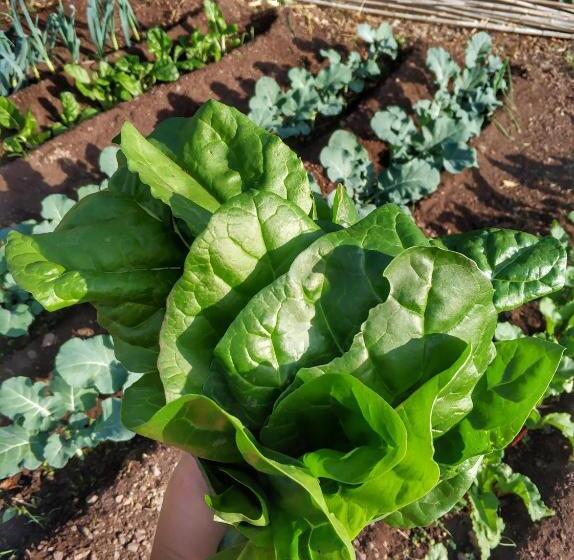 酒店 Quinta Terezinha