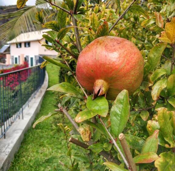 酒店 Quinta Terezinha