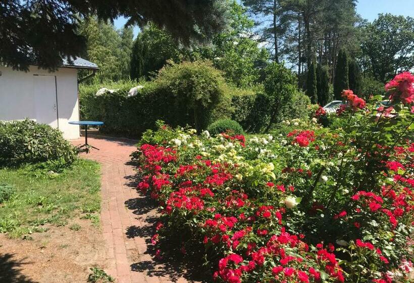 Отель Ranczo Róż Wi Ta