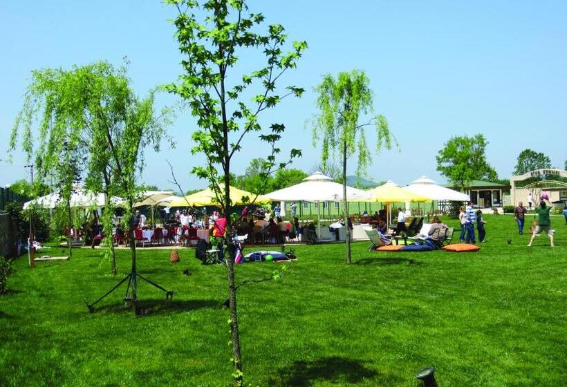 בית מלון כפרי Riva S Club