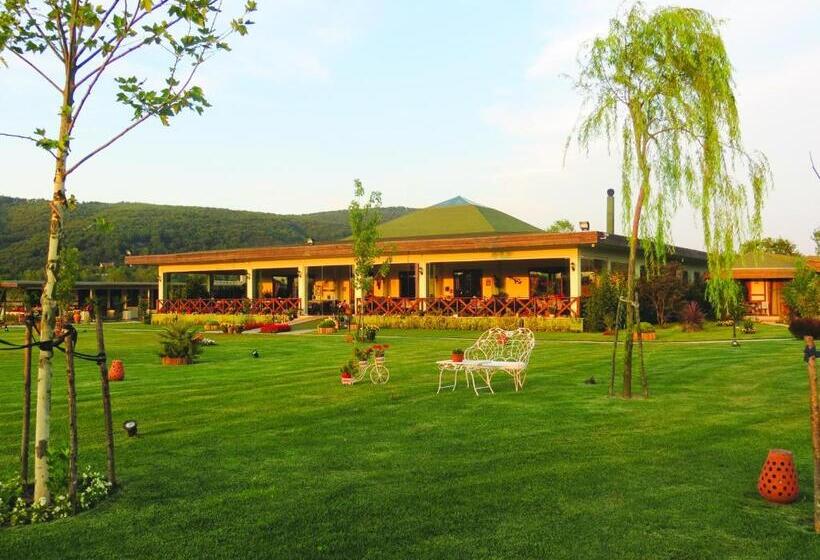 בית מלון כפרי Riva S Club