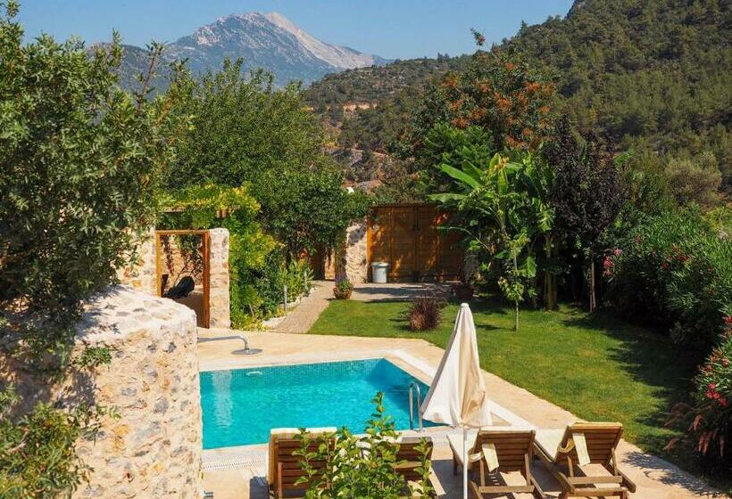 فندق Samatha Villa & Suites