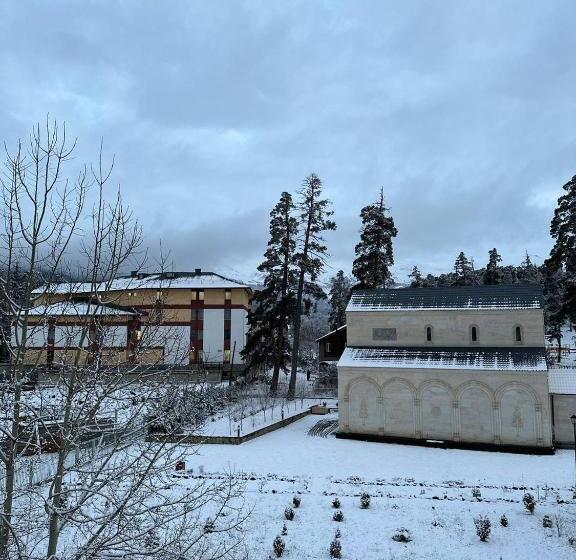 هتل Villa Bakuriani