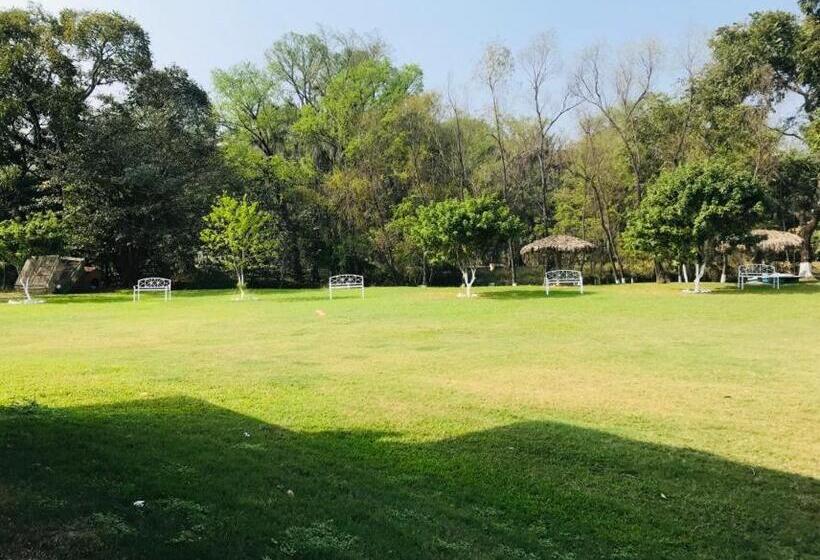 فندق Y Restaurante El Texano