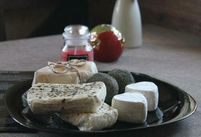 Motel вояж луцьк