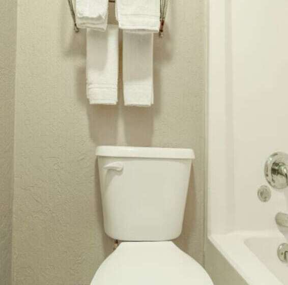 汽车旅馆  Stamford Inn