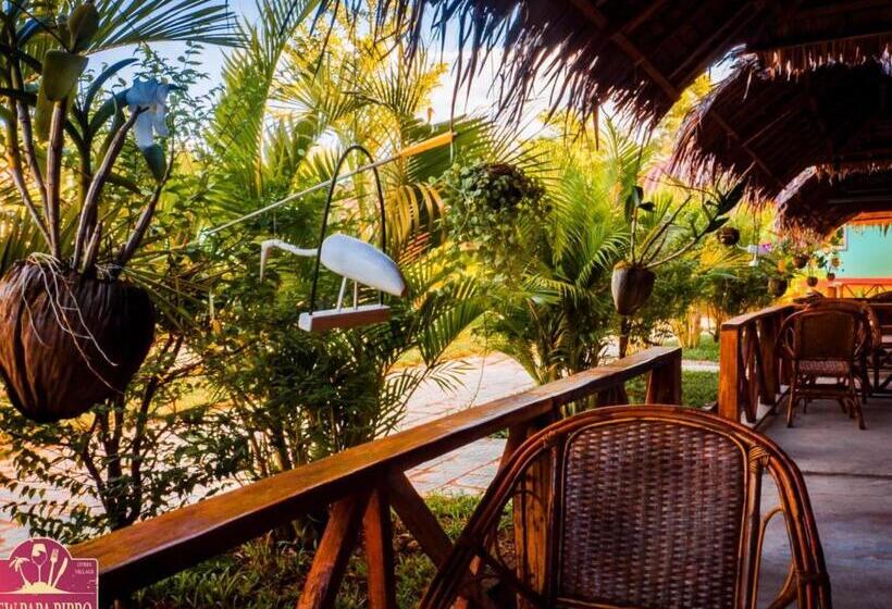 New Papa Pippo Resort