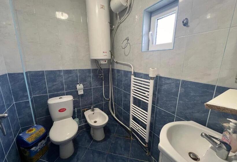 펜션 къща за гости дап баните