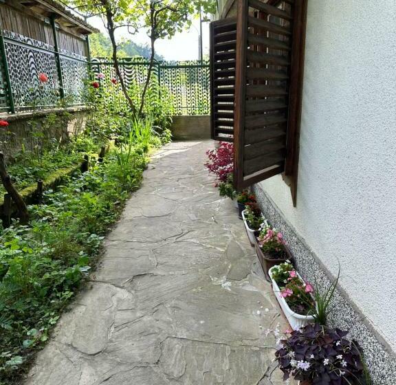 Pensión вила чевермето