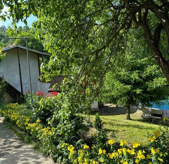 Pensión вила чевермето