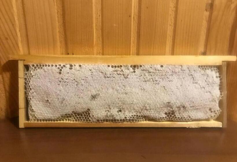 Panzió у олега