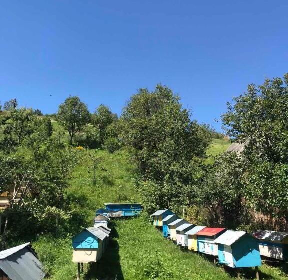 ペンション у олега