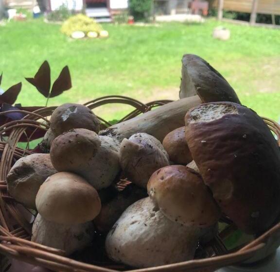 ペンション у олега