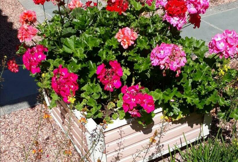 פנסיון Acomodação Recanto Das Flores Stúdio Com Quarto Conjugado