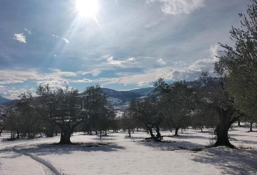 פנסיון Al Casolare