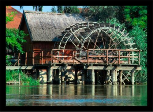 ペンション Alba Regia Pansion Egri