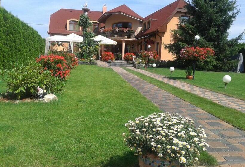 ペンション Alba Regia Pansion Egri