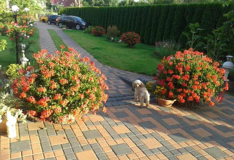 ペンション Alba Regia Pansion Egri