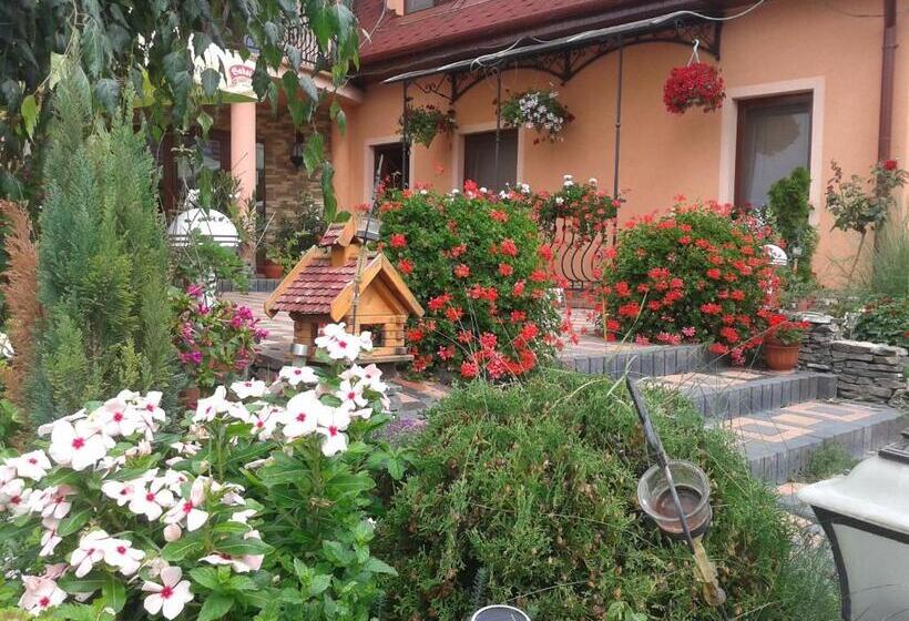 ペンション Alba Regia Pansion Egri