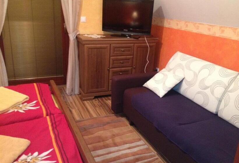 ペンション Alba Regia Pansion Egri