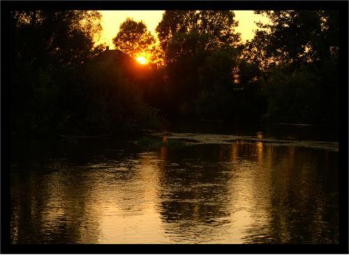 ペンション Alba Regia Pansion Egri