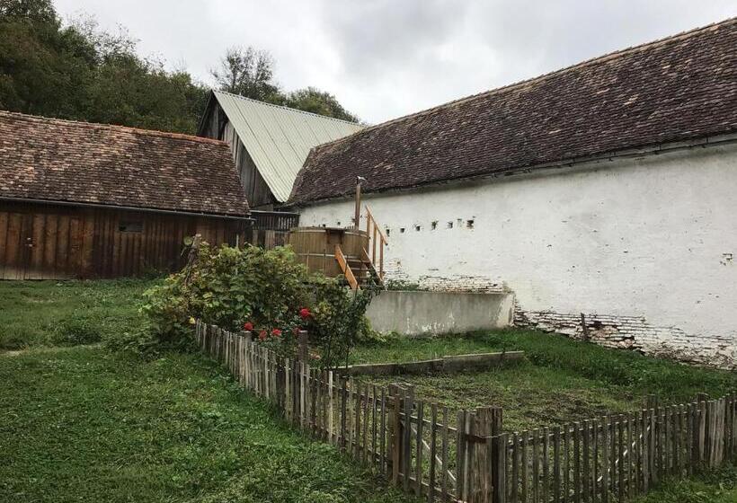 بنسيون Casa Arthur Richis