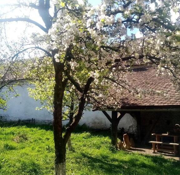 بنسيون Casa Arthur Richis