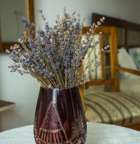 Пансион Casa Júlia